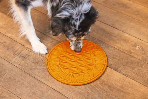 Beeztees Yavru Köpek Mama Yeme Oyuncağı, Daire Şeklinde, Silikon, Turuncu, 30cm - Resim 8