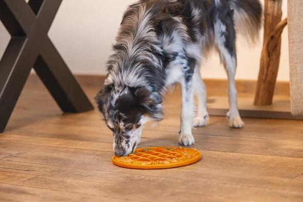 Beeztees Yavru Köpek Mama Yeme Oyuncağı, Daire Şeklinde, Silikon, Turuncu, 30cm - Resim 9