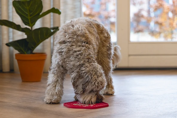 Beeztees Yavru Köpek Yaş Mama Yeme Oyuncağı, Sekizgen Şeklinde, Silikon, Pembe, 23x20cm - Resim 2