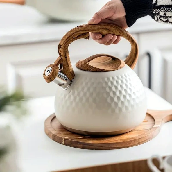 Valkyrie Modern Tasarım Düdüklü Kettle 3L Paslanmaz Çelik Ergonomik Su Isıtıcı Çaydanlık Islıklı