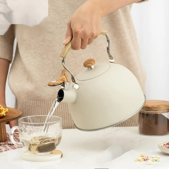 Valkyrie 2.5L Paslanmaz Çelik Düdüklü Su Isıtıcısı Demlik Islıklı Kettle - 4