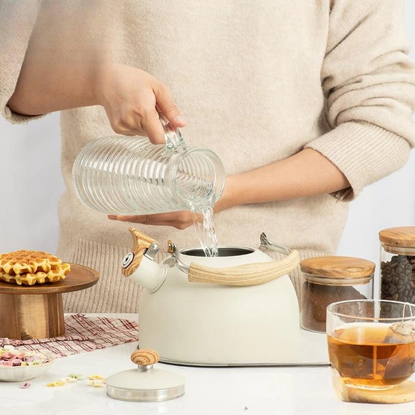 Valkyrie 2.5L Paslanmaz Çelik Düdüklü Su Isıtıcısı Demlik Islıklı Kettle - 7