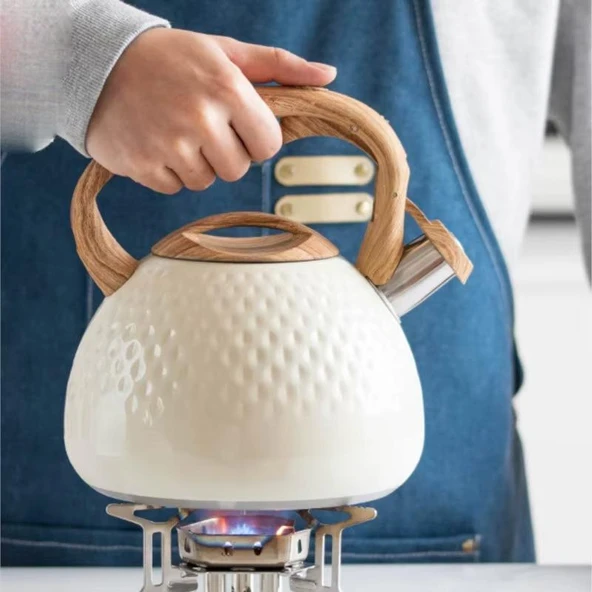 Valkyrie Modern Tasarım Düdüklü Kettle 3L Paslanmaz Çelik Ergonomik Su Isıtıcı Çaydanlık Islıklı - 6