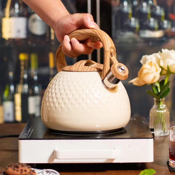 Valkyrie Modern Tasarım Düdüklü Kettle 3L Paslanmaz Çelik Ergonomik Su Isıtıcı Çaydanlık Islıklı - 7