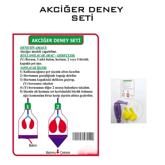 basit akciğer deney seti - 2