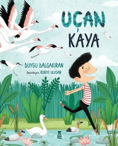 Uçan Kaya DUYGU DALGAKIRAN