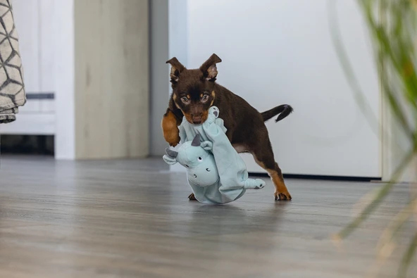 Beeztees Yavru Köpek Oyuncağı, Dragon, Peluş, Yeşil, 31,5x25x17cm - Resim 2