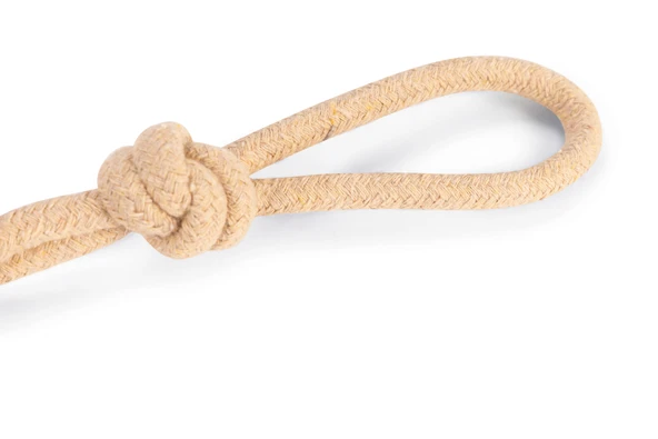 Beeztees Köpek Oyuncağı, İpli Tenis Topu, Kauçuk, Gri/Kahverengi, İp 39cm, Top 6,3cm - Resim 4