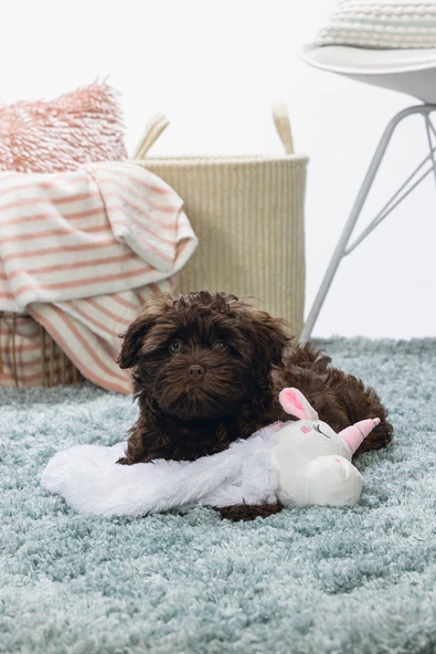 Beeztees Yavru Köpek Oyuncağı, Unicorn, Peluş, Beyaz, 74x14x15cm - Resim 6