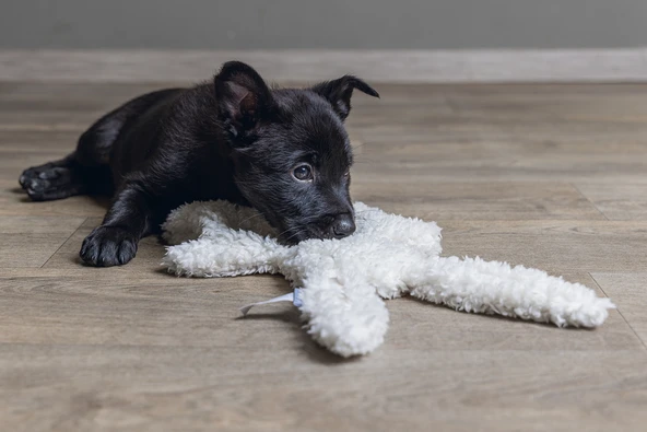 Beeztees Yavru Köpek Oyuncağı, Peluş, Beyaz, 40x22x5cm - Resim 2