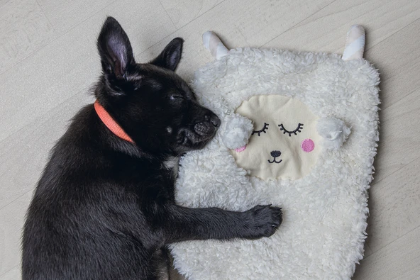 Beeztees Yavru Köpek Oyuncağı, Peluş, Beyaz, 40x22x5cm - 5