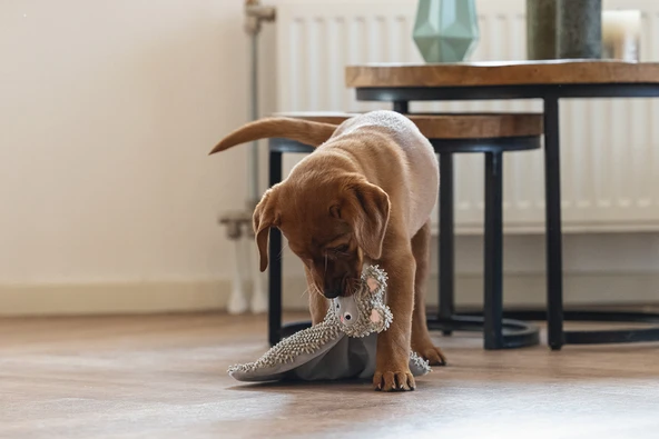 Beeztees Yavru Köpek Oyuncağı, Peluş, Gri, 37x28x4cm - Resim 4