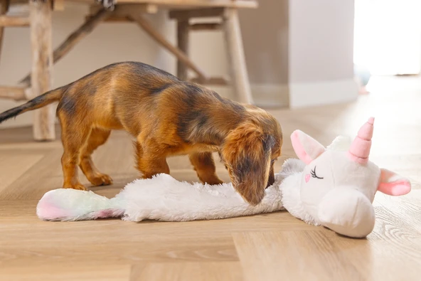 Beeztees Yavru Köpek Oyuncağı, Unicorn, Peluş, Beyaz, 74x14x15cm - Resim 9