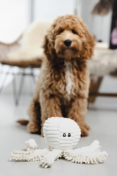 Beeztees Köpek Oyuncağı, Ahtapot, Peluş, Beyaz, 26x13x13cm - Resim 2