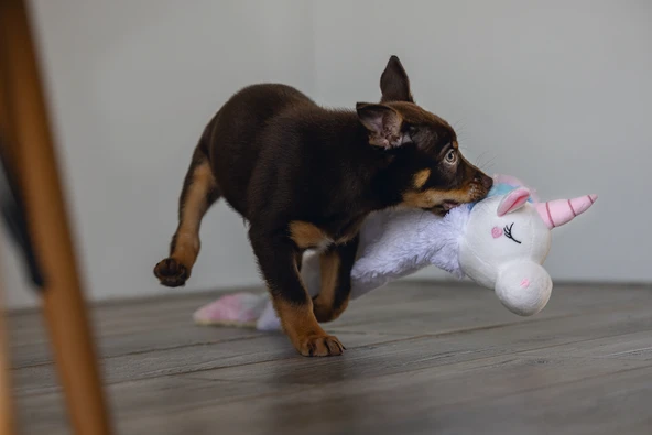 Beeztees Yavru Köpek Oyuncağı, Unicorn, Peluş, Beyaz, 74x14x15cm - Resim 2