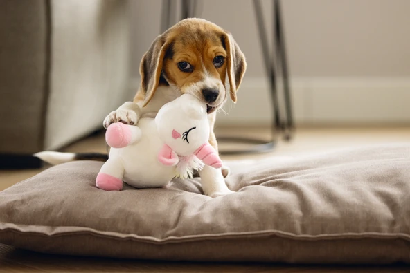 Beeztees Yavru Köpek Oyuncağı, Unicorn, Peluş, Beyaz, 18x15x11,5cm - Resim 2