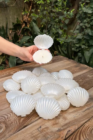 İstiridye Mika Mum Kutusu 20 Adet ürün görseli