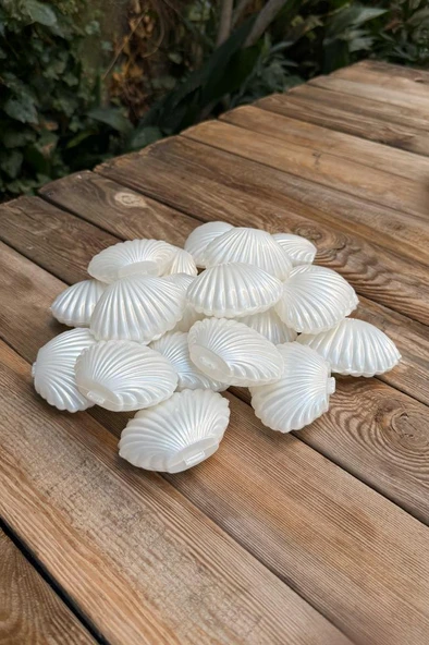 İstiridye Mika Mum Kutusu 20 Adet - Resim 3