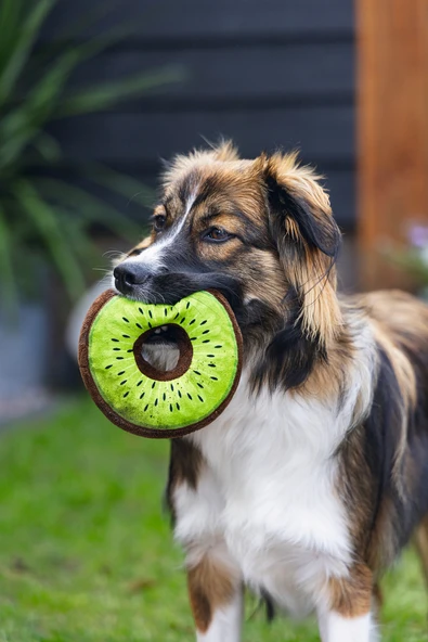Beeztees Köpek Oyuncağı, Donut, Peluş, Çeşitli Renklerde, 12x12x5cm - Resim 10