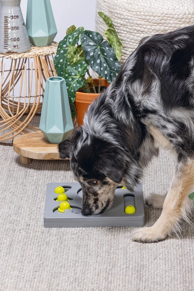 Beeztees Köpek Zeka Geliştirme Oyuncağı, 28x28x4,5cm - Resim 2