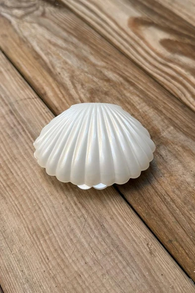 İstiridye Mika Mum Kutusu 20 Adet - Resim 6