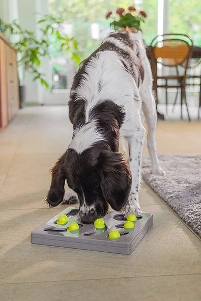 Beeztees Köpek Zeka Geliştirme Oyuncağı, 28x28x4,5cm - Resim 6