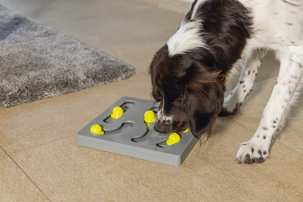 Beeztees Köpek Zeka Geliştirme Oyuncağı, 28x28x4,5cm - Resim 5