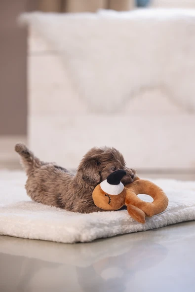 Beeztees Köpek Oyuncağı, Peluş, Kahverengi, 16x18x8,5cm - Resim 7