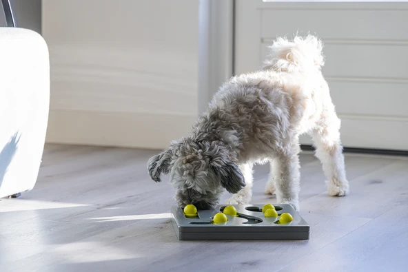 Beeztees Köpek Zeka Geliştirme Oyuncağı, 28x28x4,5cm - Resim 3
