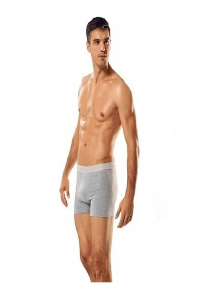 Erkek Likralı Boxer 2'li Gri