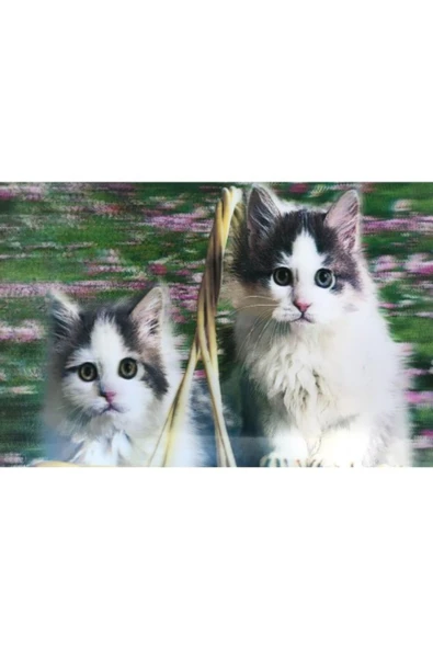 KUZGUN ONLİNE SHOP 5D Elmas Boyama Kedi Tablosu