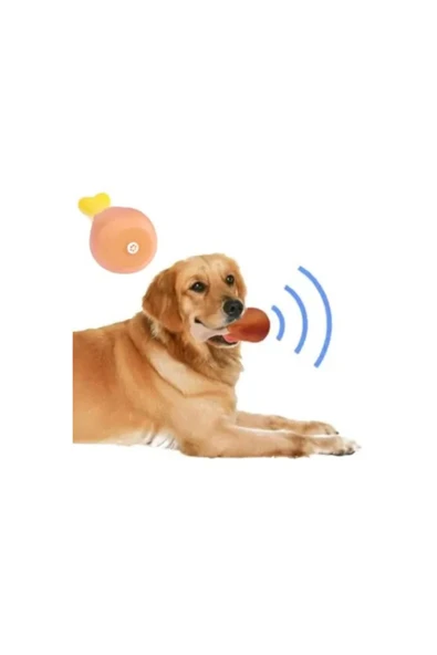 KUZGUN ONLİNE SHOP Köpekler İçin Sesli Oyuncak Tavuk Butu