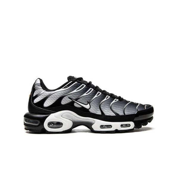 Nike Air Max Plus Black Silver White