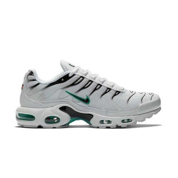 Nike Air Max Plus Dusty Cactus - 1