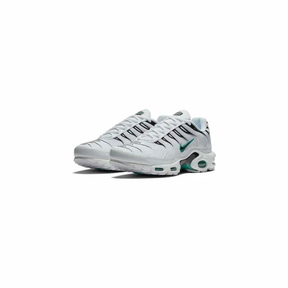 Nike Air Max Plus Dusty Cactus - 2