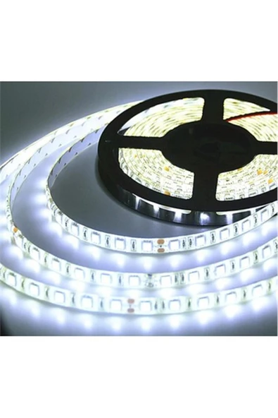 Pys 3 Çip İç Mekan Şerit Led Beyaz (10M) - 3