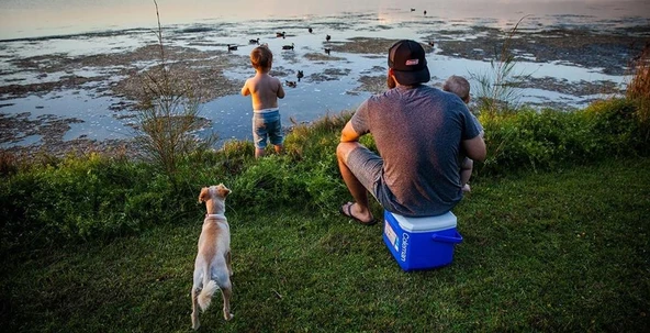 Coleman Performance Tri Color 16 QT Soğutucu Buzluk 15 Lt - 6