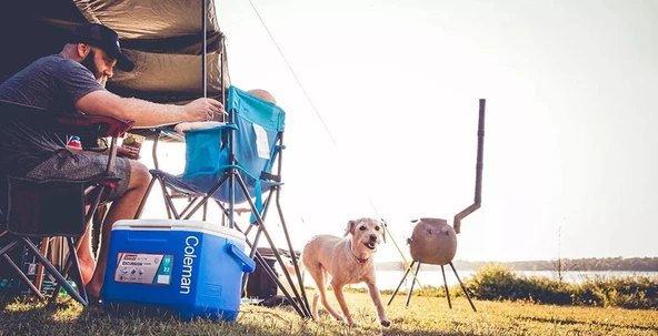 Coleman Performance Tri Color 16 QT Soğutucu Buzluk 15 Lt - 12