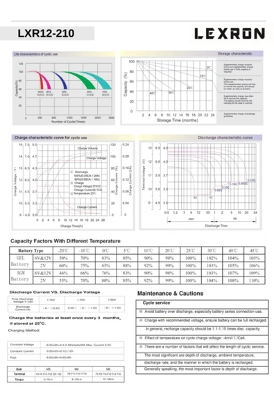 Lexron 210A -12V Jel Akü - 3