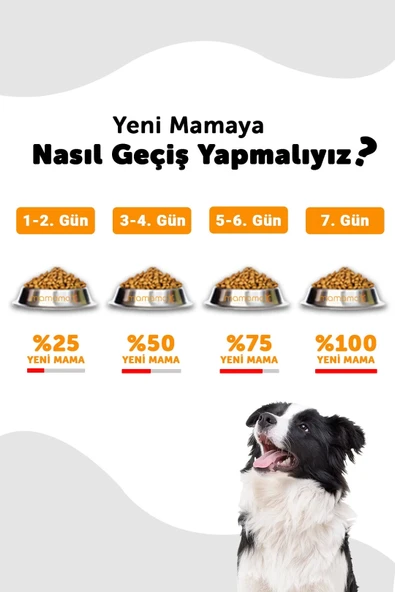 Lavital Kuzu Etli Küçük Irk Yetişkin Köpek Maması 1.5 Kg - 4