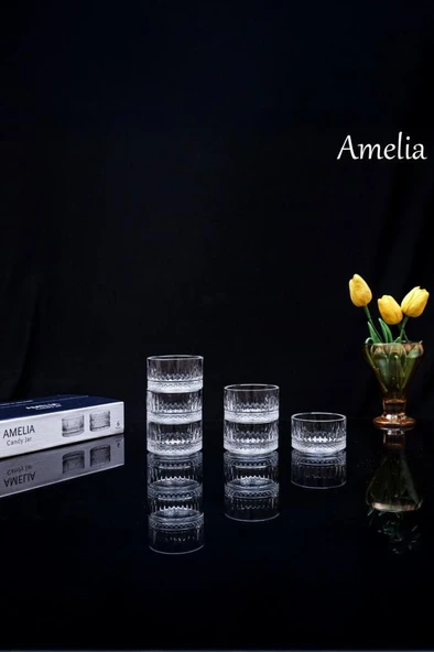 Amelia Kase 6 Lı Set Sosluk Puding Tatlı Dondurma Kasesi