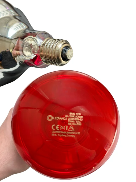 (10 Adet) Ledvance 250W Kızılötesi (infrared) Isıtıcılı Hayvan Isıtma ve Fizik Tedavi Lambası (Kırmızı Işık) E27 (Kalın Duy) - 5