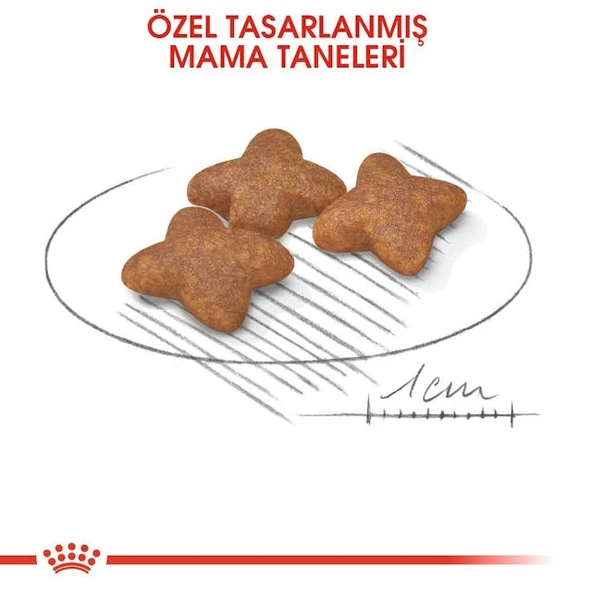 Mini Adult Küçük Irk Yetişkin Köpek Maması 4 Kg - Resim 6