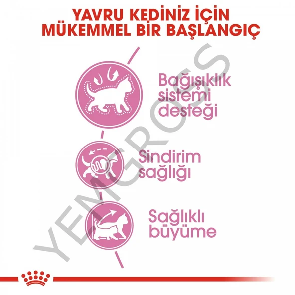 Royal Canin Kitten Yavru Kedi Maması 4 Kg - Resim 4