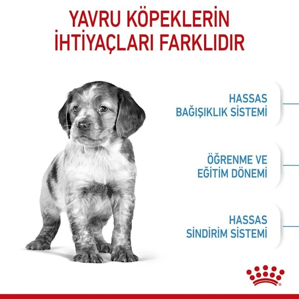 Royal Canin Medium Puppy Orta Irk Yavru Köpek Maması 4 Kg - Resim 4