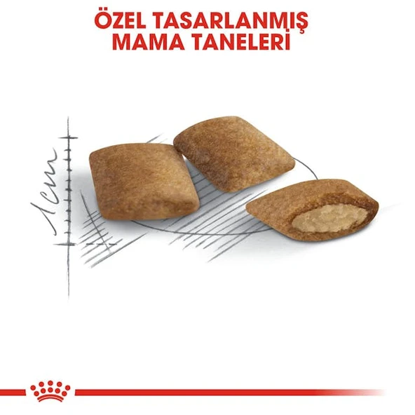 Royal Canin Ageing 12+ Yaşlı Kuru Kedi Maması 2 Kg - Resim 5