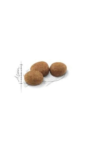 Sterilised 37 4 Kg Kısırlaştırılmış Kuru Kedi Maması
