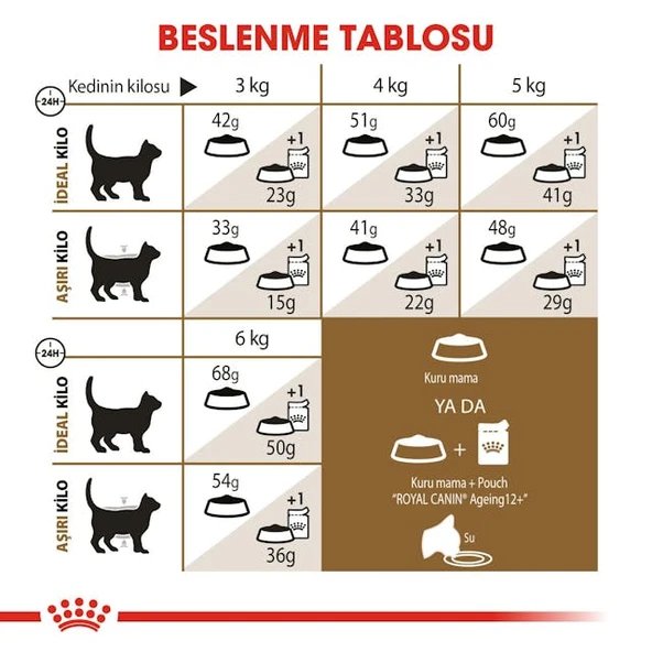 Royal Canin Ageing 12+ Yaşlı Kuru Kedi Maması 2 Kg - Resim 4