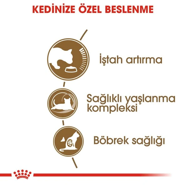 Royal Canin Ageing 12+ Yaşlı Kuru Kedi Maması 2 Kg - 6