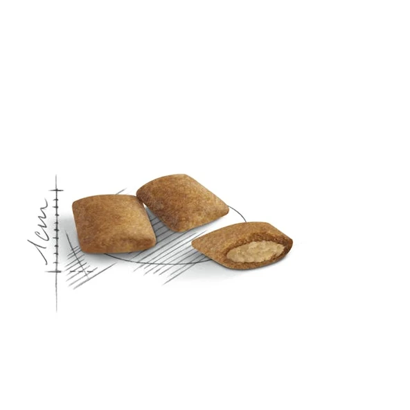 Royal Canin Ageing 12+ Yaşlı Kuru Kedi Maması 2 Kg - 2